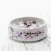 Cherry Blossoms
