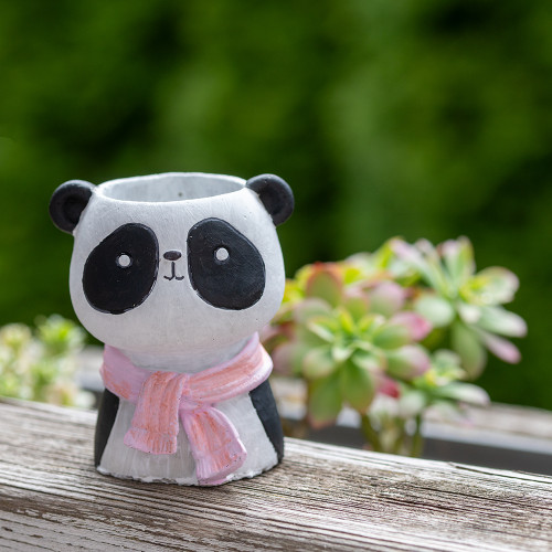 Cute Panda